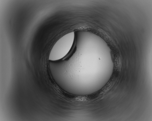 X0000093480762200710120954