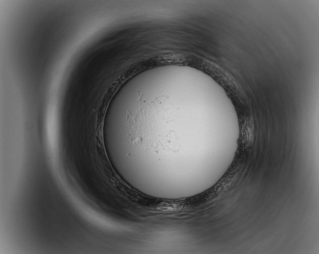 X0000093480764200710120954