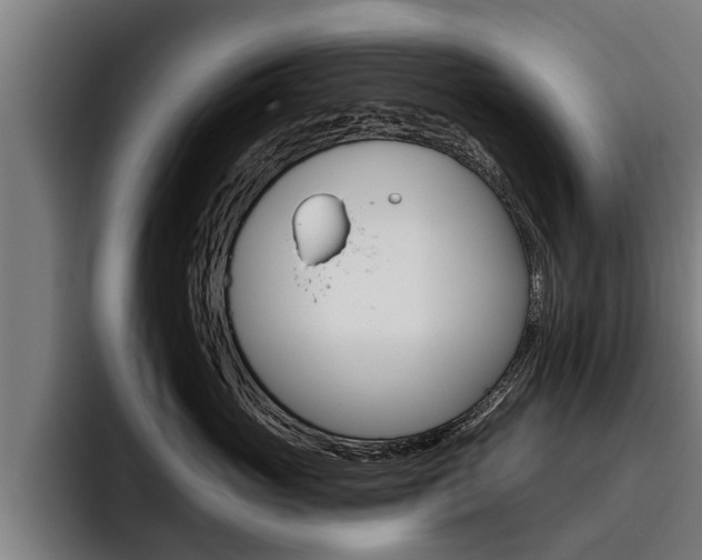 X0000093480765200710120954
