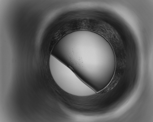 X0000093480766200710120954