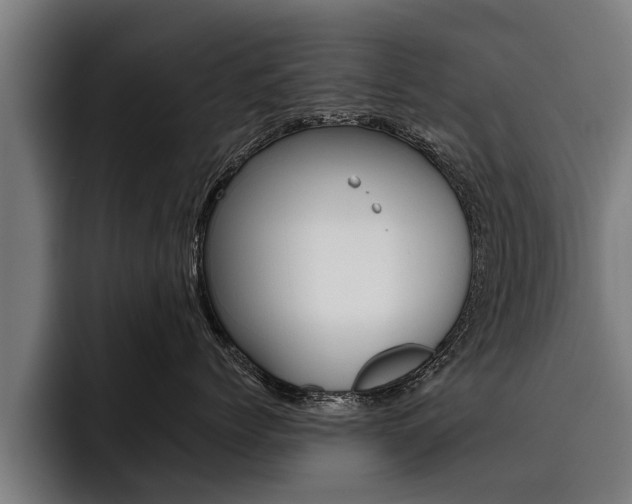 X0000093480768200710120954