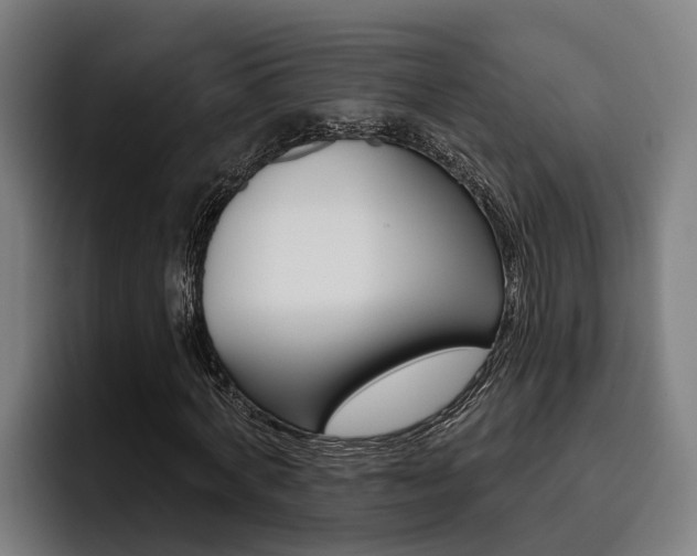 X0000093480772200710120954