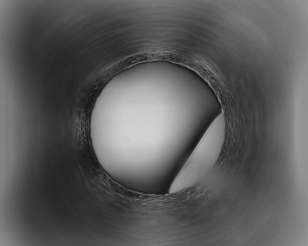 X0000093480773200710120954