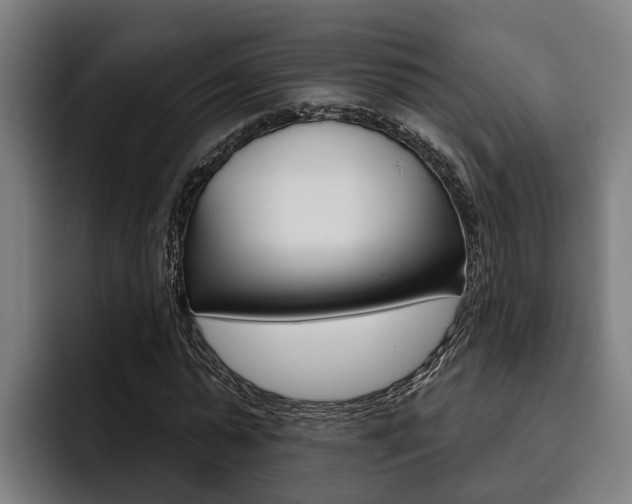 X0000093480775200710120954