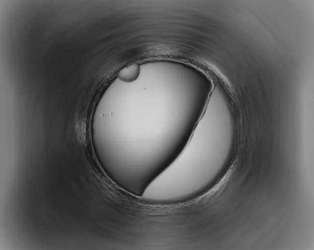 X0000093480777200710120954