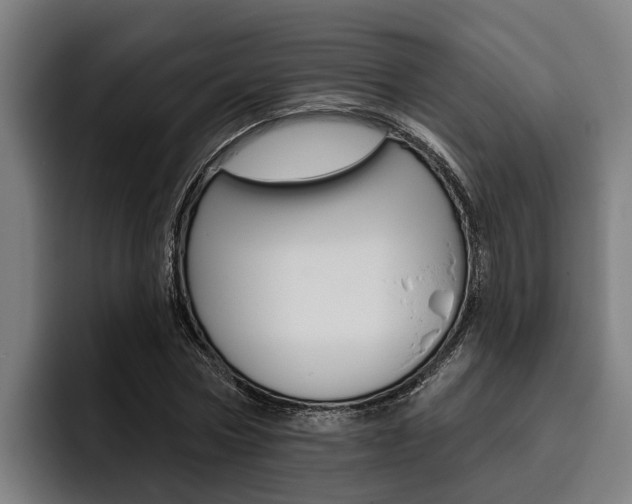 X0000093480778200710120954