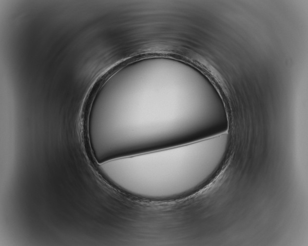X0000093480779200710120954