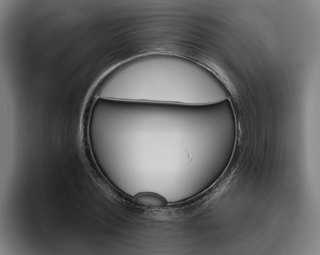 X0000093480780200710120954