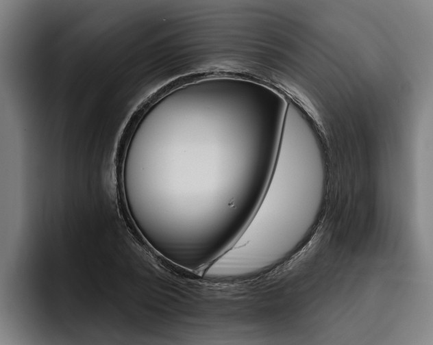 X0000093480784200710120954