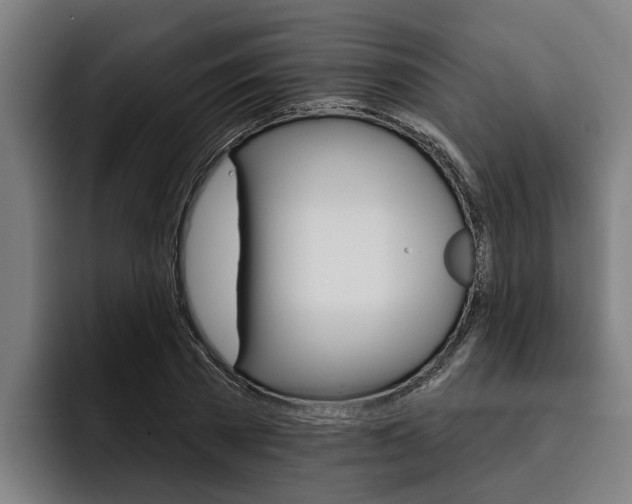 X0000093480785200710120954