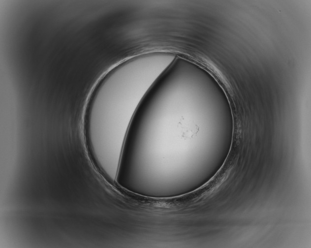X0000093480787200710120954