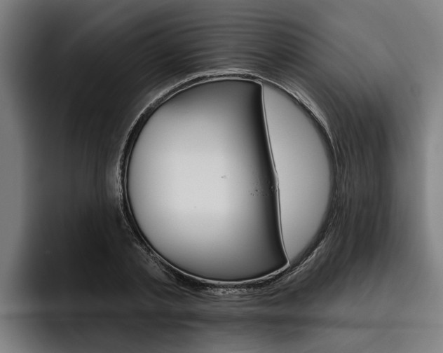 X0000093480789200710120954