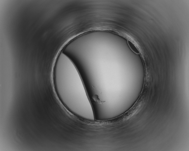 X0000093480803200710120953
