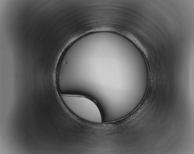 X0000093480805200710120953