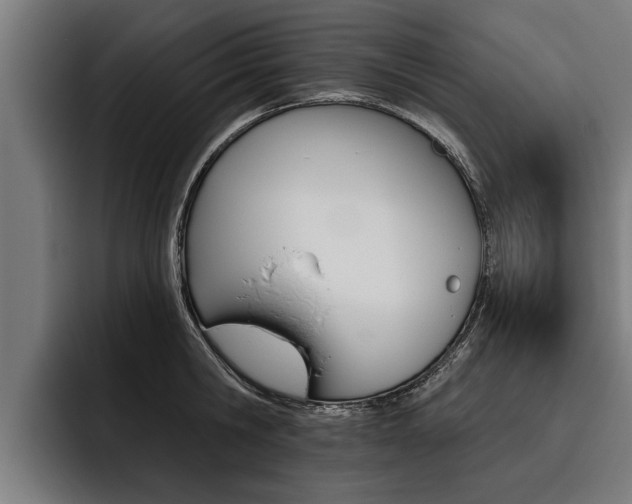 X0000093480806200710120953