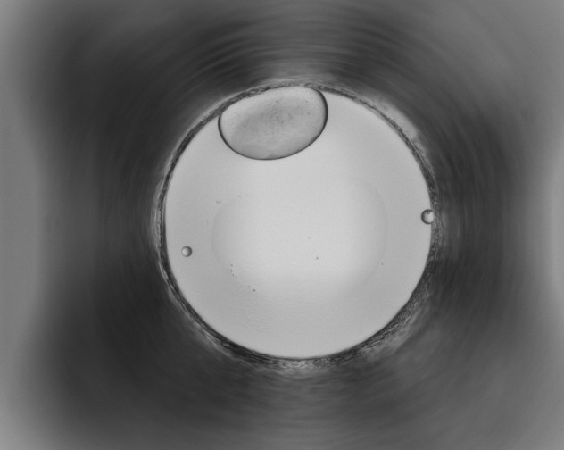X0000093480807200710120953