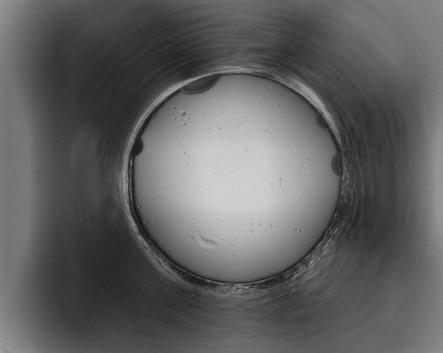 X0000093480811200710120953