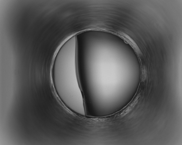 X0000093480812200710120953