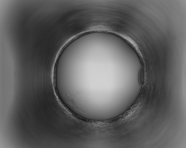 X0000093480815200710120953