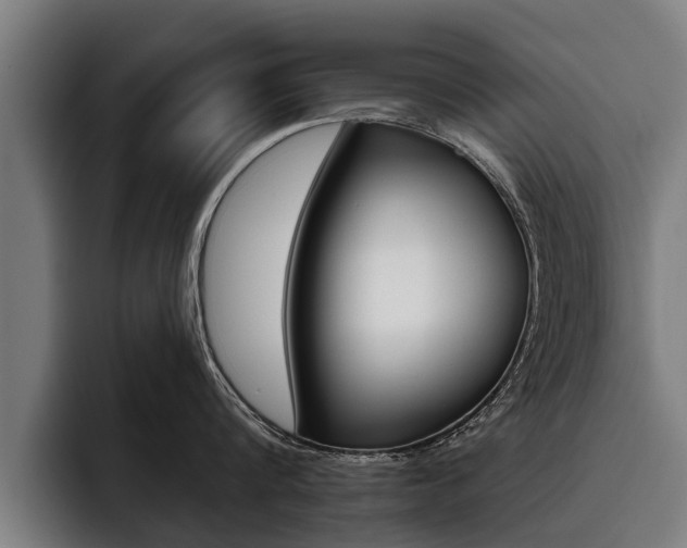 X0000093480816200710120953