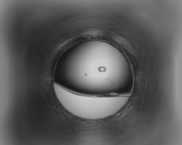 X0000093480822200710120953