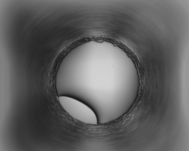 X0000093480823200710120953