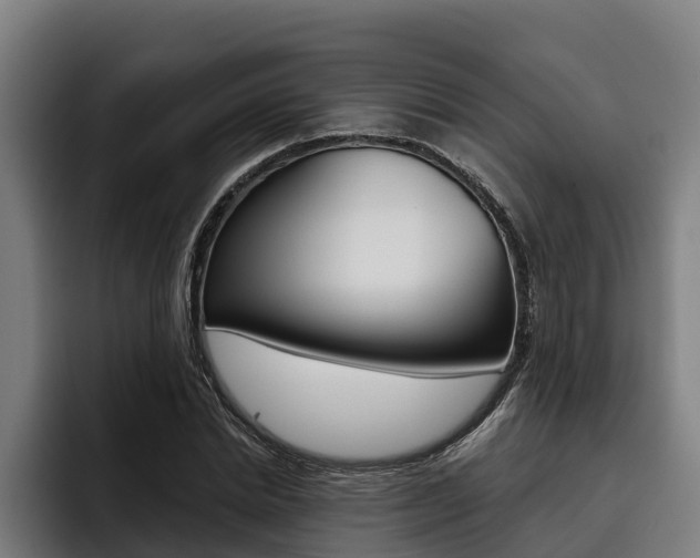 X0000093480830200710120953