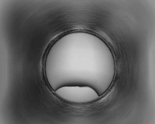X0000093480831200710120953