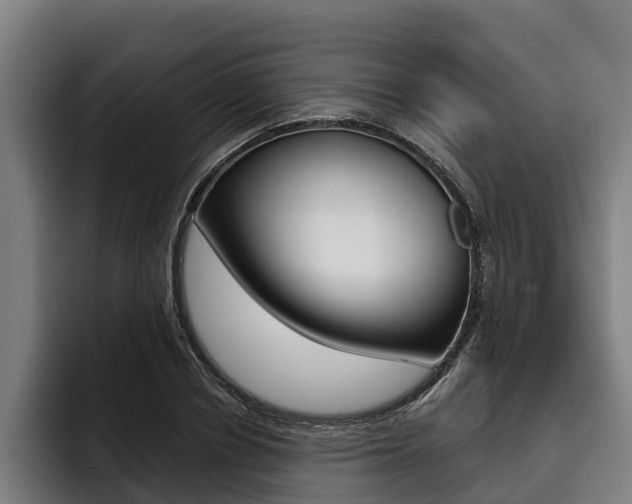 X0000093480834200710120953