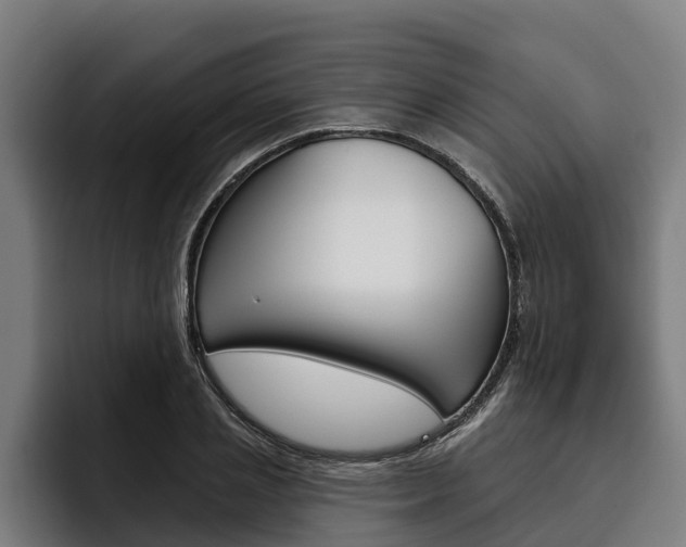 X0000093480837200710120953