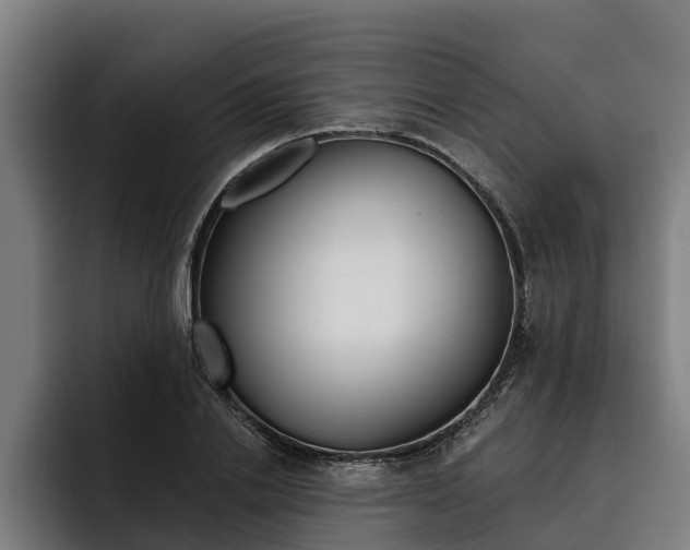 X0000093480838200710120953