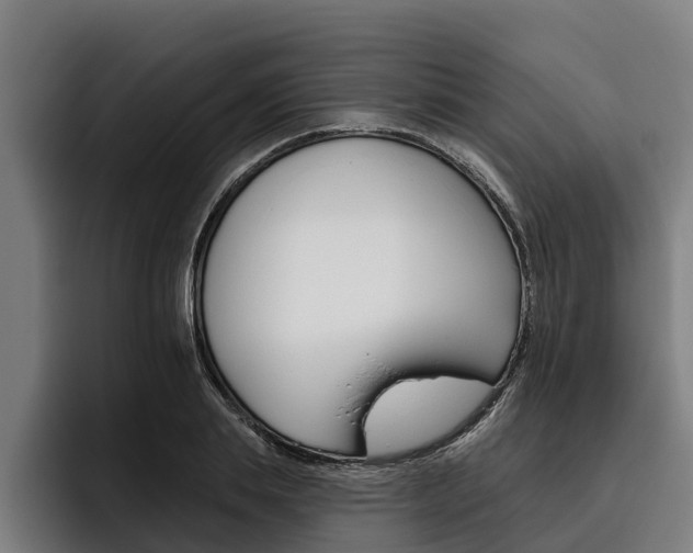 X0000093480839200710120953