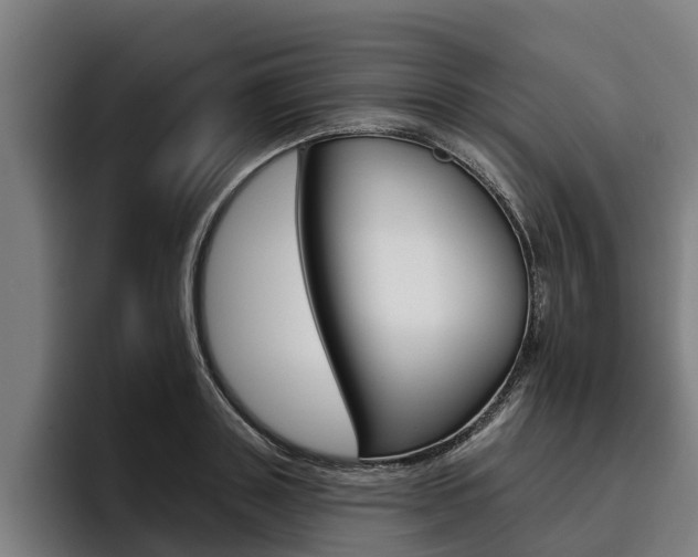 X0000093480843200710120953