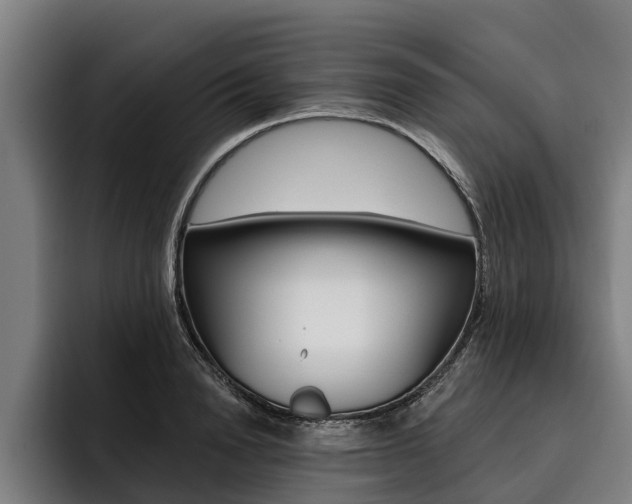 X0000093480846200710120953