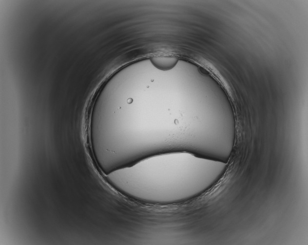 X0000093480851200710120953
