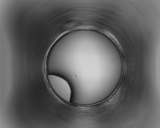 X0000093480852200710120953