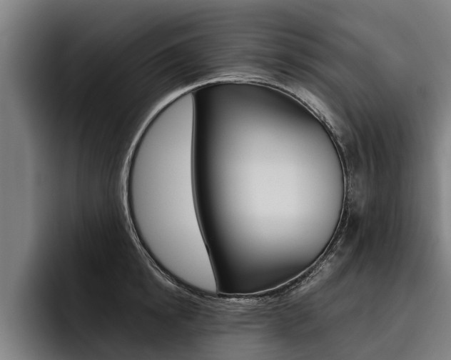 X0000093480854200710120953