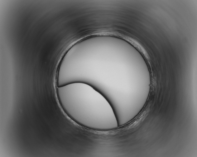 X0000093480855200710120953