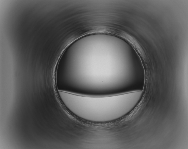 X0000093480858200710120953