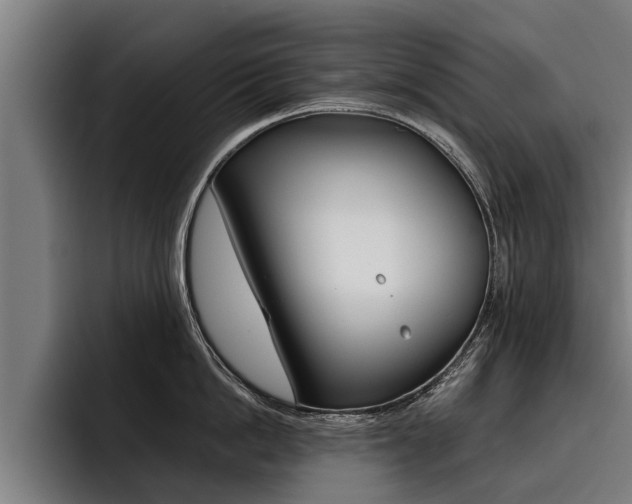 X0000093480862200710120953