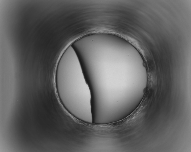 X0000093480863200710120953