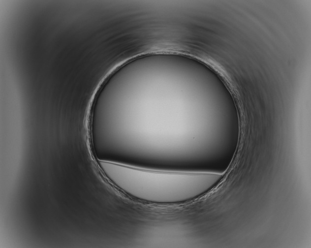 X0000093480864200710120953