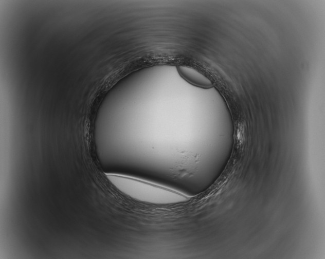 X0000093480867200710120953