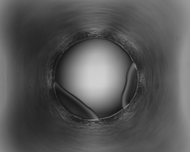X0000093480868200710120953