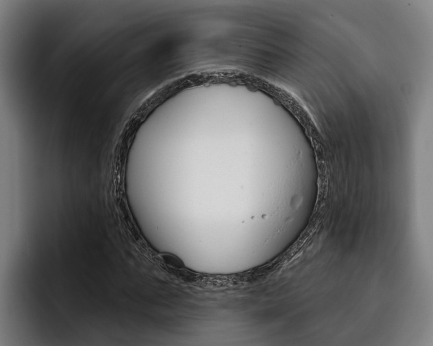 X0000093480871200710120953