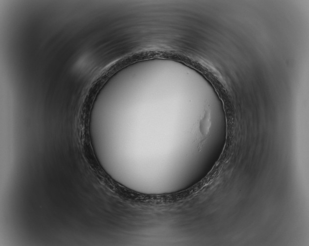 X0000093480872200710120953