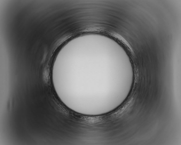 X0000093480874200710120953