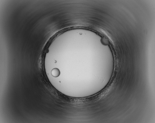 X0000093480875200710120953