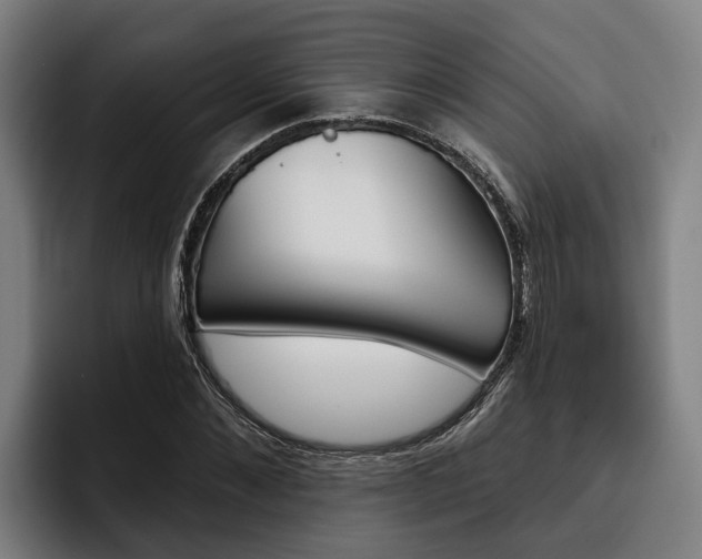 X0000093480876200710120953