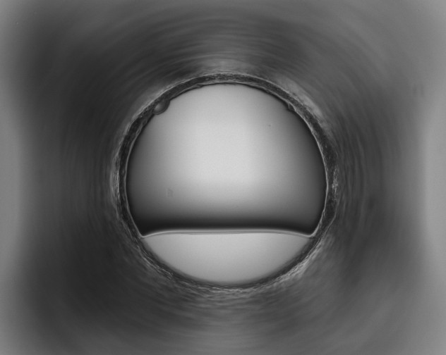 X0000093480877200710120953